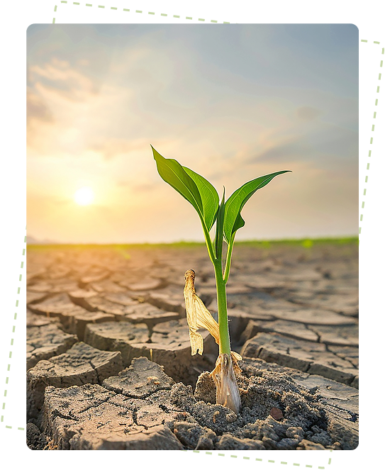 Climate-Resilient Farming