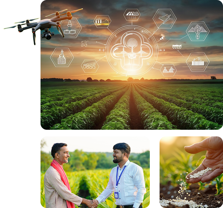 Palvi Agrico product solution