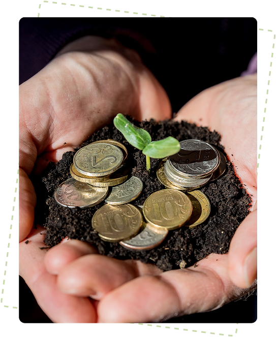 Economic Sustainability